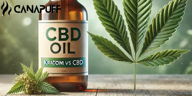 Kratom vs CBD: Understanding the Differences